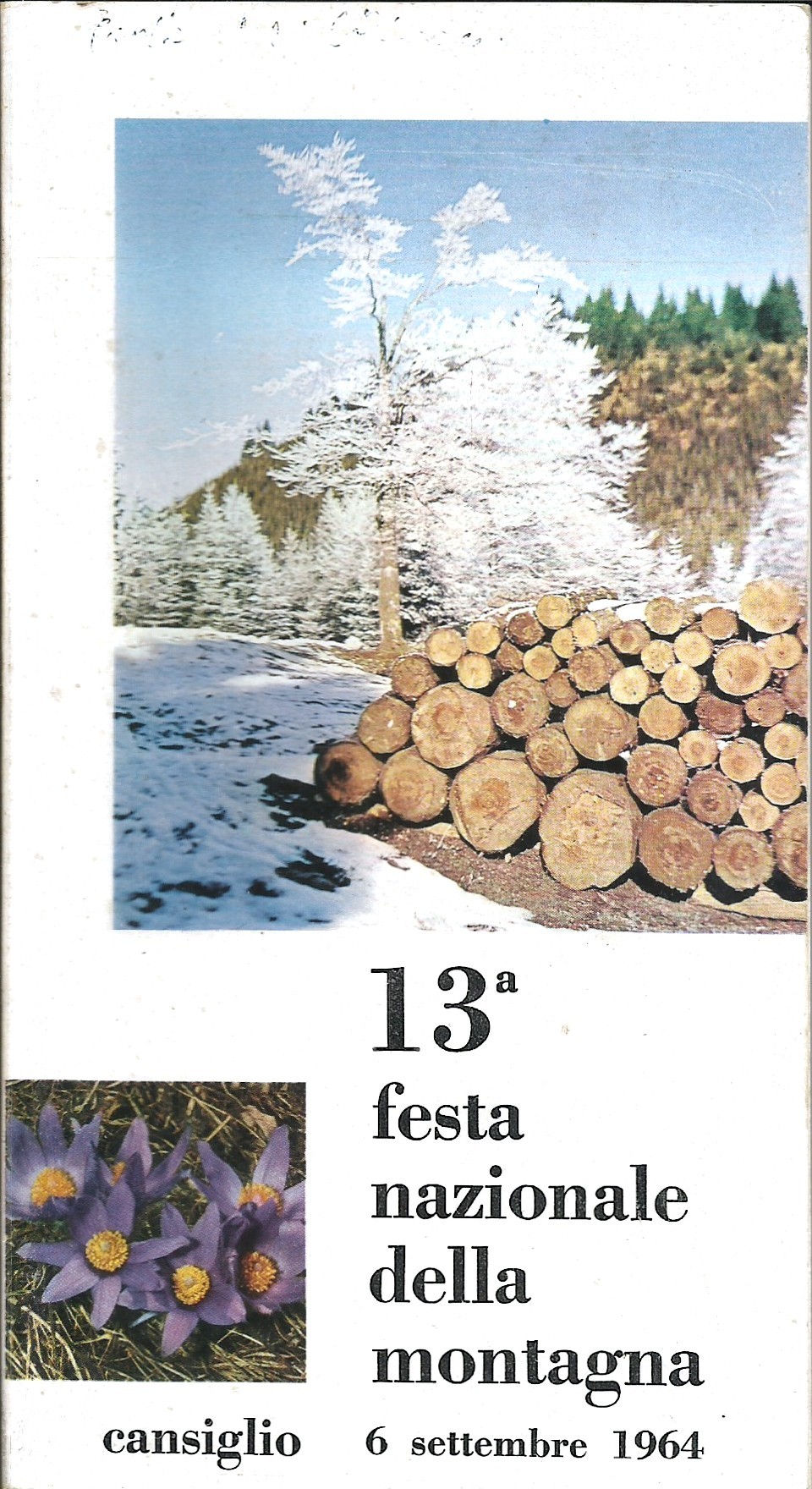 Copertina di Cansiglio – Il Bosco da reme di San Marco