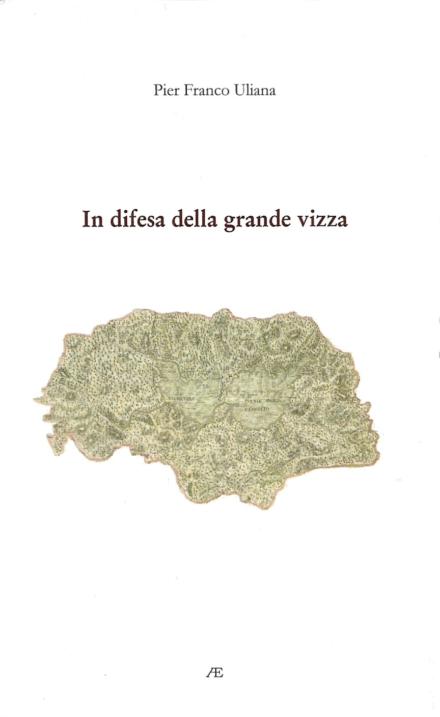 Copertina di In difesa della grande vizza